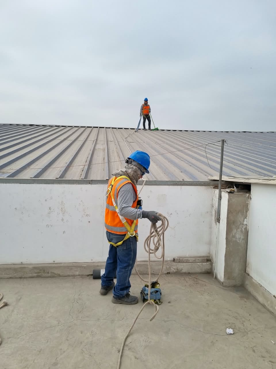 Trabajadores con arnés y línea de vida durante el mantenimiento de un techo
